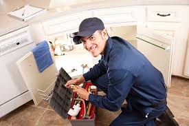 Best Residential Plumbing Services  in Forest Hills, TN